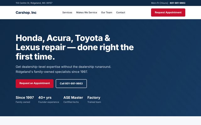 Option 1 homepage preview